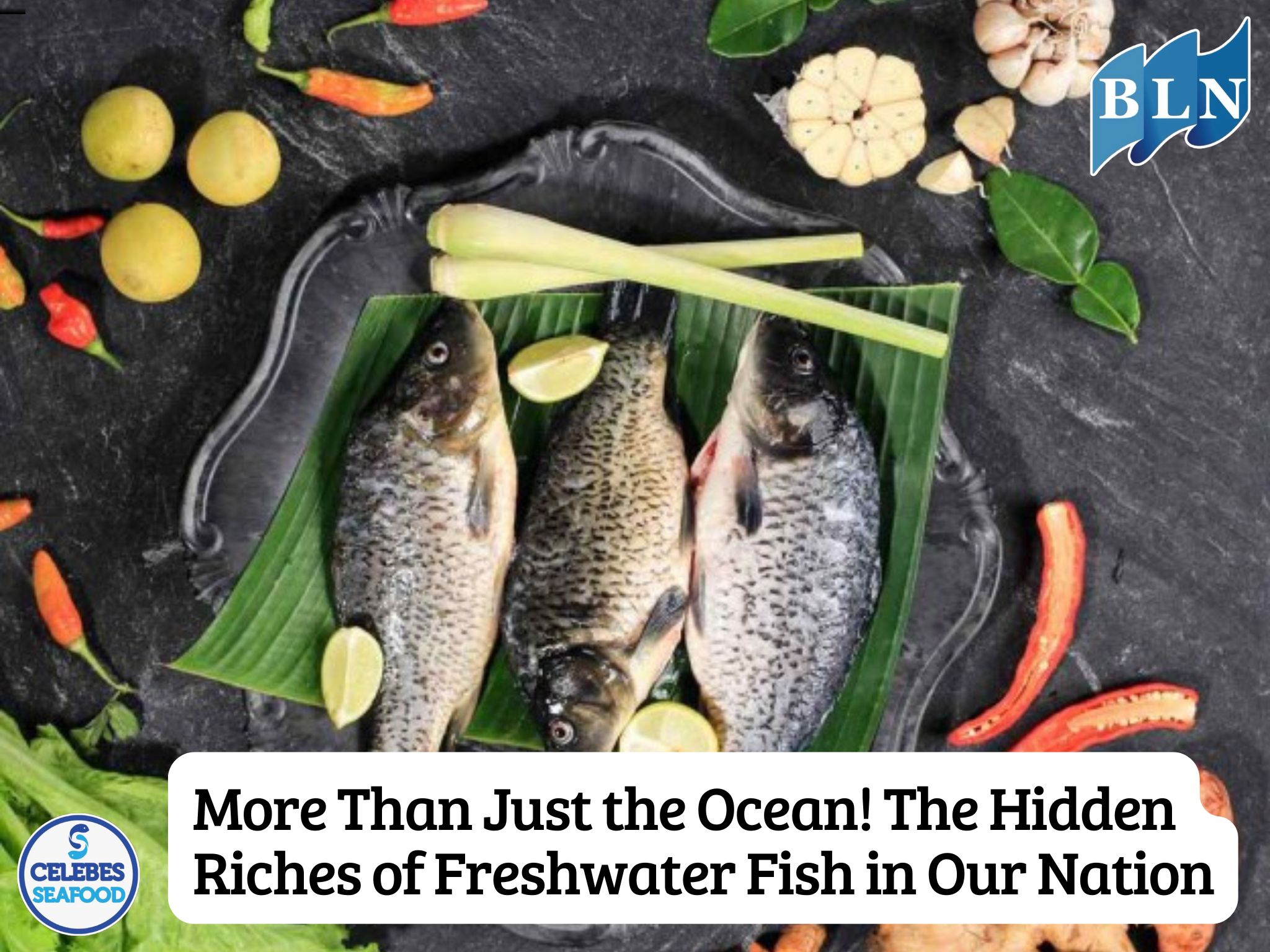 More Than Just the Ocean! The Hidden Riches of Freshwater Fish in Our Nation